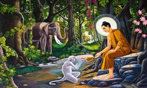 Карма и реинкарнация в буддизме, какие бывают